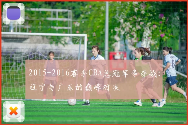 2015-2016赛季CBA总冠军争夺战：辽宁与广东的巅峰对决