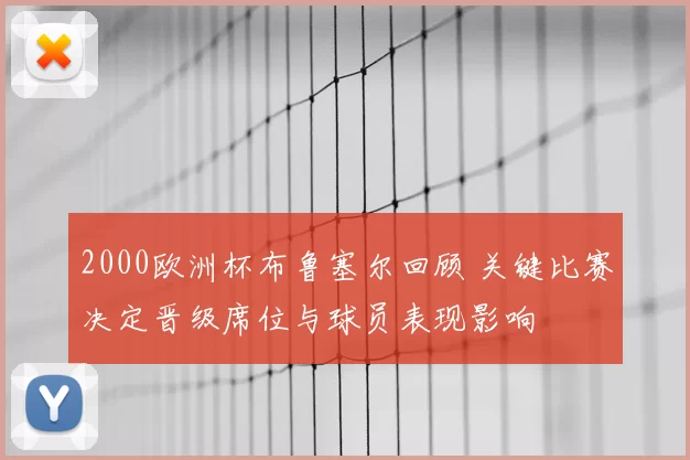 2000欧洲杯布鲁塞尔回顾 关键比赛决定晋级席位与球员表现影响